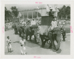 Amusements - Shows and Attractions - Frank Buck's Jungleland - Elephants - Frank Buck riding in procession