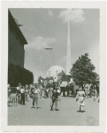 Amusements - Shows and Attractions - Frank Buck's Jungleland - Elephants - Frank Buck riding in procession