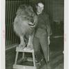 Amusements - Shows and Attractions - Frank Buck's Jungleland - Lions and Tigers - Melvin Koontz with lion