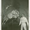 Amusements - Shows and Attractions - Frank Buck's Jungleland - Lions and Tigers - Melvin Koontz with lion jumping through flaming hoop