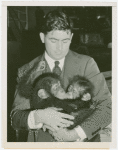 Amusements - Shows and Attractions - Frank Buck's Jungleland - Monkeys and Chimpanzees - Man with baby chimpanzees