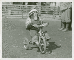 Amusements - Shows and Attractions - Frank Buck's Jungleland - Monkeys and Chimpanzees - Chimpanzee in costume on tricycle