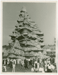 Amusements - Shows and Attractions - Frank Buck's Jungleland - Monkeys and Chimpanzees - Monkeys on Monkey Mountain