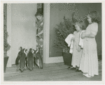 Amusements - Villages - Little Miracle Town - Midgets with penguins
