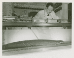 Amusements - Electric eel