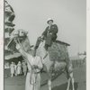 Amusements - Camel rider