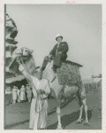 Amusements - Camel rider