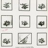 Art - Sculpture - Moods of Time (Paul Manship) - Preliminary sketches