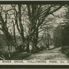 The River Drive, Tollymore Park, Co. Down.