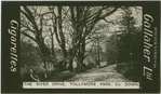 The River Drive, Tollymore Park, Co. Down.