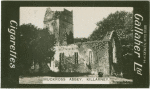Muckross Abbey, Killarney.