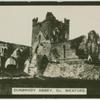 Dunbrody Abbey, Co. Wexford.