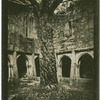 Muckross Abbey, Killarney.