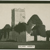 Clare Abbey.