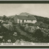A hillside farm, Cashel, Connemara.