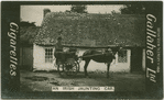 An Irish jaunting car.