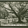 Bryansford & inn, Co. Down.