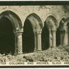 Cloister columns and arches, Sligo Abbey.