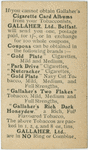 Ardara, Co. Donegal, congested districts board embroidery depot.