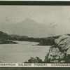 Ballinahinch salmon fishery, Connemara.