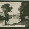 Trim old bridge, Co. Meath.