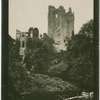 Blarney Castle, Co. Cork.