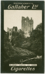 Blarney Castle, Co. Cork.