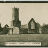 Kilconnell Abbey, Co. Galway.