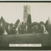 Adare Abbey, Co. Limerick.