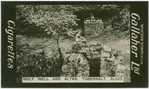 Holy well and altar, Tobernalt, Sligo.