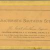 The Great Southern Express