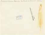 American Common - Eleanor Roosevelt speaking