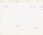 American Telephone & Telegraph Exhibit - Building - Construction - Exterior