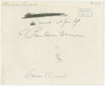 Amusements - Performers and Personalities - Carmen Miranda
