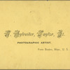 Taylor's Gem of Coca Foliage