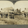 Farming Scene, Province of Havana, Cuba