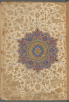Shams