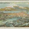 View of Port Arthur.