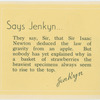 Jenkynisms