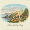 Bonne Nuit Bay Jersey
