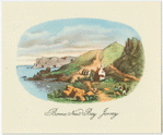 Bonne Nuit Bay Jersey