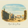 Royal Square Jersey