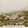 Belcroute Bay from the private road leading to Noirmont Manor (about 100 years ago)