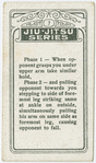 Jiu-Jitsu series