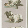 Jiu-Jitsu series