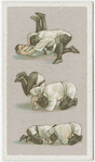 Jiu-Jitsu series