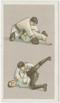 Jiu-Jitsu series