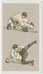 Jiu-Jitsu series