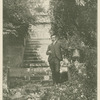 Maurice Maeterlinck.