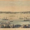 Jersey City. New York from Staten Island. Brooklyn